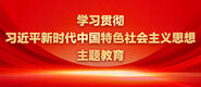 操老骚逼洗澡三级黄视频学习贯彻习近平新时代中国特色社会主义思想主题教育_fororder_ad-371X160(2)